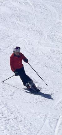 skiimage2v012.jpg