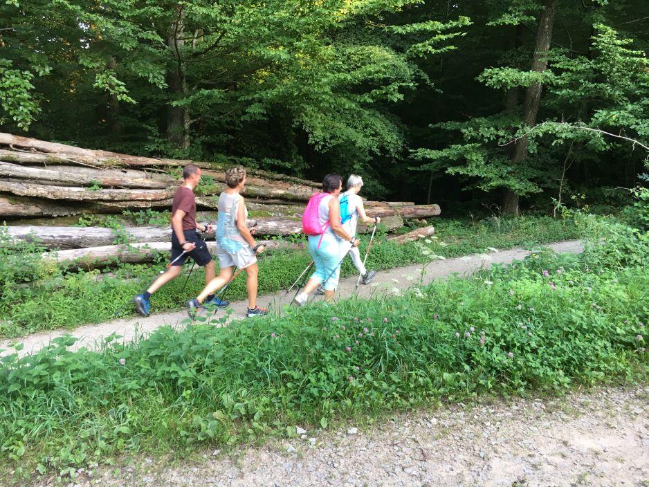 Nordic-Walking