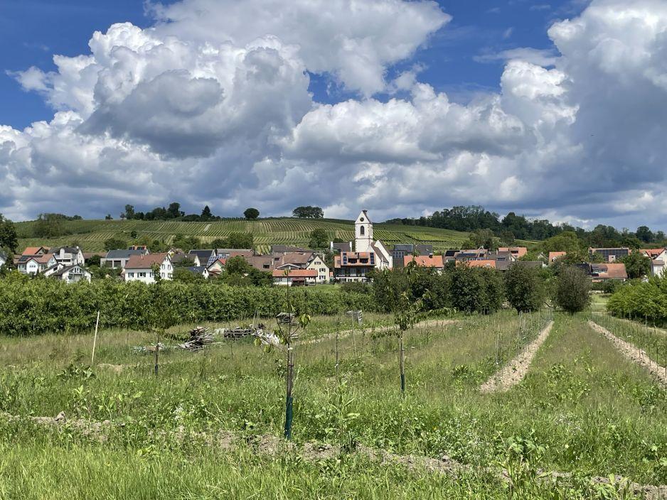 Kräuter-Spaziergang